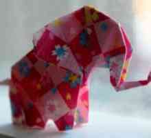 Kako napraviti papir slona?
