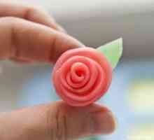 Kako oblikovati od gline ruža?