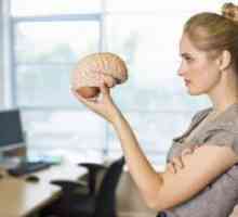 Kako trenirati mozak?