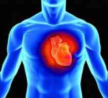 Kako ojačati srce i krvne žile?
