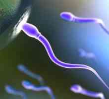 Kako poboljšati kvalitetu sperme?