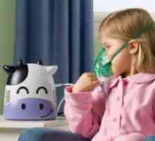 Kako odabrati inhalator?
