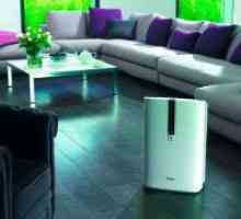 Kako odabrati pročišćivač zraka za stan?