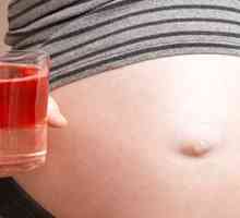Što sokovi su korisni u trudnoći