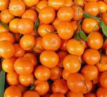 Što su vitamini se nalaze na mandarinskom?