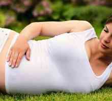 Koje su šanse za dobivanje trudna s drozd