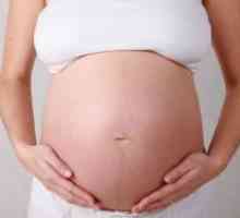 Petrifies želudac tijekom trudnoće