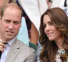 Kate Middleton, princ William, Hugh Grant i drugi sudjelovali na konačnu igra Wimbledonu