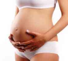 Kada dijete počne kretati na 2 trudnoće?