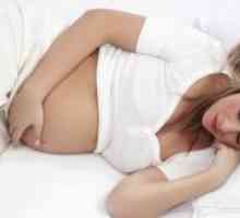 Kolike trbuhu trudnoća