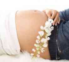 Coleitis tijekom trudnoće - Liječenje