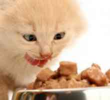Hrana za mačke kastriran