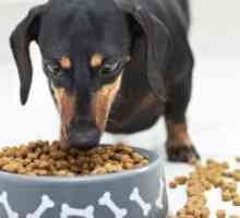 Feed za pse Premium: Ocjena
