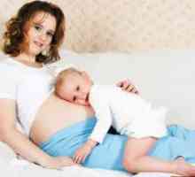 Dojenje u trudnoći