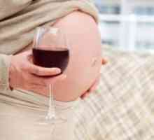 Crveno vino tijekom trudnoće