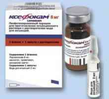 Ksefokam - injekcije