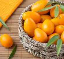 Patuljasta naranča - koristi i štete