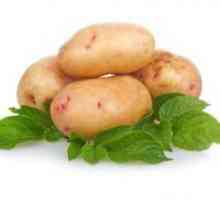 Hemoroidi krumpirov liječenje