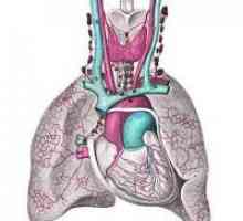 Plućne hipertenzije - liječenje