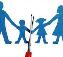Prestanak roditeljskog prava oca - osnovni
