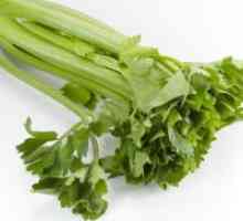 Celer list - korisna svojstva