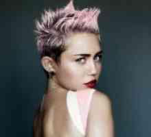 Miley Cyrus - slikanje 2014