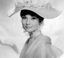 Šminka u stilu Audrey Hepburn