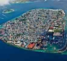 Maldivi, Muški