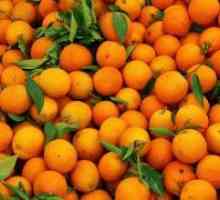 Mandarine - koristi i štete