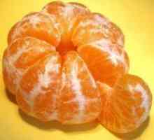 Mandarine u trudnoći