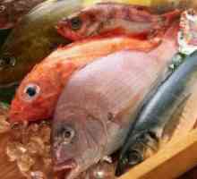 Plave ribe - koristi i štete