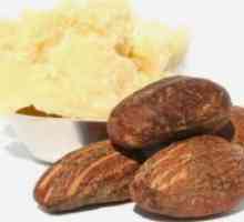 Kakao maslac - svojstvima i namjenama