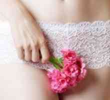 Menstruatsionny ciklus nakon poroda