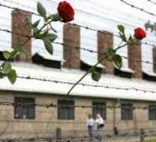 Međunarodni dan oslobođenja nacističkih koncentracijskih logora