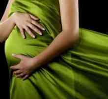 Mokrenje u trudnoći