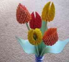 Modularni origami - tulipan