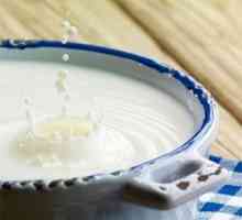 Mlijeko izvori proteina, koristi i štete od proteina mlijeka