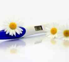 Može li test na trudnoću biti u krivu?