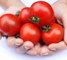 Može li se skrb majka rajčice?