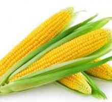 Mogu li se oporaviti od kukuruza?