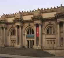 Metropolitan Museum u New Yorku