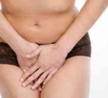 Urinarna inkontinencija u starijih žena