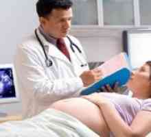 Razvoj trudnoće - uzroci i posljedice