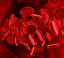 Norma trombocita u krvi žena