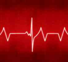 Normalno ljudsko srce stopa u zadnjih 40 godina