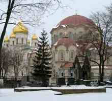 Novodjevičanski Manastir u St. Petersburgu