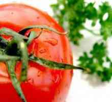 Nove sorte rajčice Sibirski rasplodnih