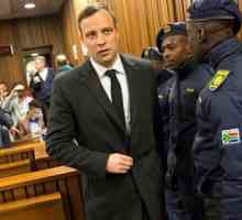 Oscar Pistorius provesti šest godina zatvora za ubojstvo Riva stinkamp