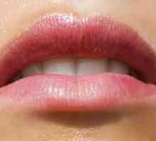 Značajke primjene pigmenta na usnama