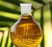 Palmino ulje - koristi i štete
